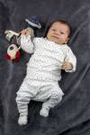 ALAIN DE SAINT-JORES - ADSJ-Photographe